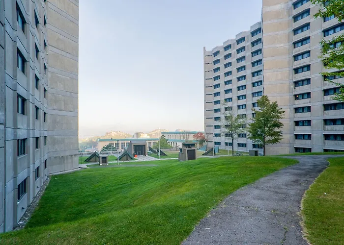Zum Mtl Auberge D'Ete - Universite De Montreal